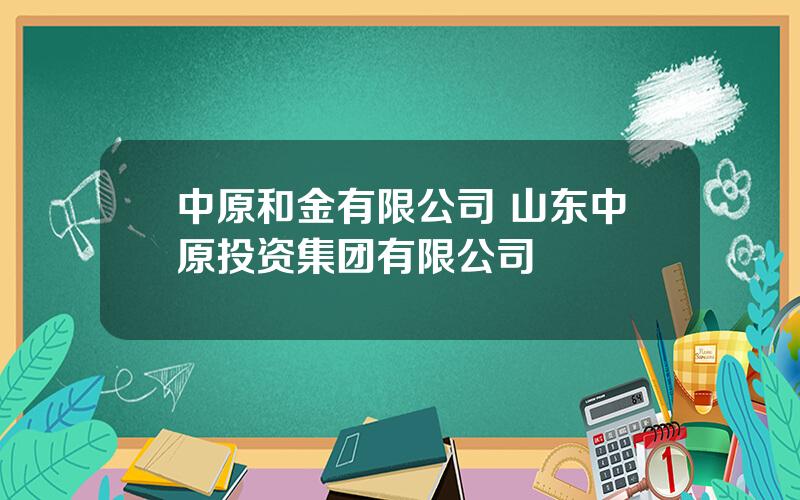 中原和金有限公司 山东中原投资集团有限公司